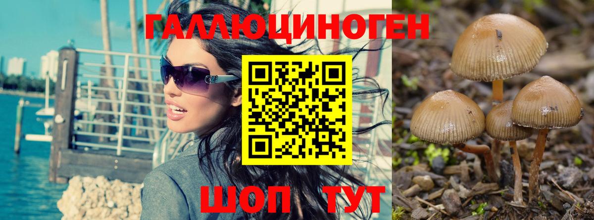 где купить наркоту  Псилоцибиновые грибы Psilocybine cubensis  Вход с VPN  Галлюциногенные грибы Magic Shrooms  Шебекино 
